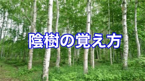 陽樹 陰樹 一覧|雑木林の遊歩道～植生【陽樹・陰樹・落葉樹・常緑樹・広葉樹・。